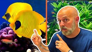 These TWO Things Changed Everything About Aquariums For Me