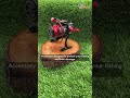 🔥 REEL STAND RYOBI – Lebih dari Sekadar Aksesoris, Ini Investasi untuk Reel Kesayanganmu! 🎣 #fishing