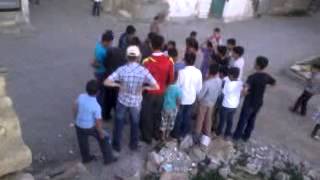 Hali Ibo Ergani Saray Mahlesi Köpek Sever Ergani Diyarbakır