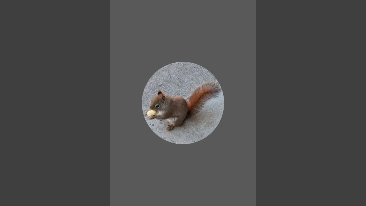 Florence Bunso is live!