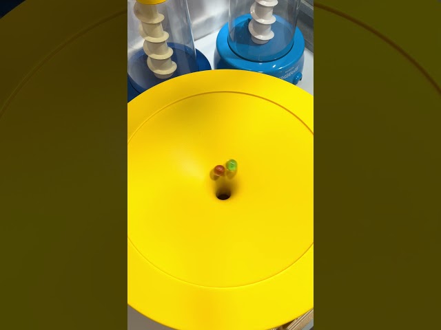 Pure ASMR 🟡🌀 Slow Motion Drop⑥ #marblerun #asmr