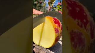 Cut The Apple Using A Special Very Sharp Knife