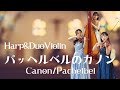 《ハープと2台ヴァイオリン》教会で『パッヘルベルのカノン』
