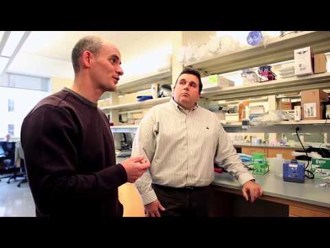Cancer vaccine begins Phase I clinical trials - Cancer vaccine begins Phase I clinical trials