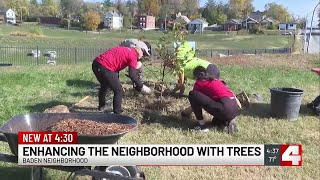 Purina, Forest ReLeaf plant trees in Baden neighborhood