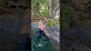 Gators vs crocs?