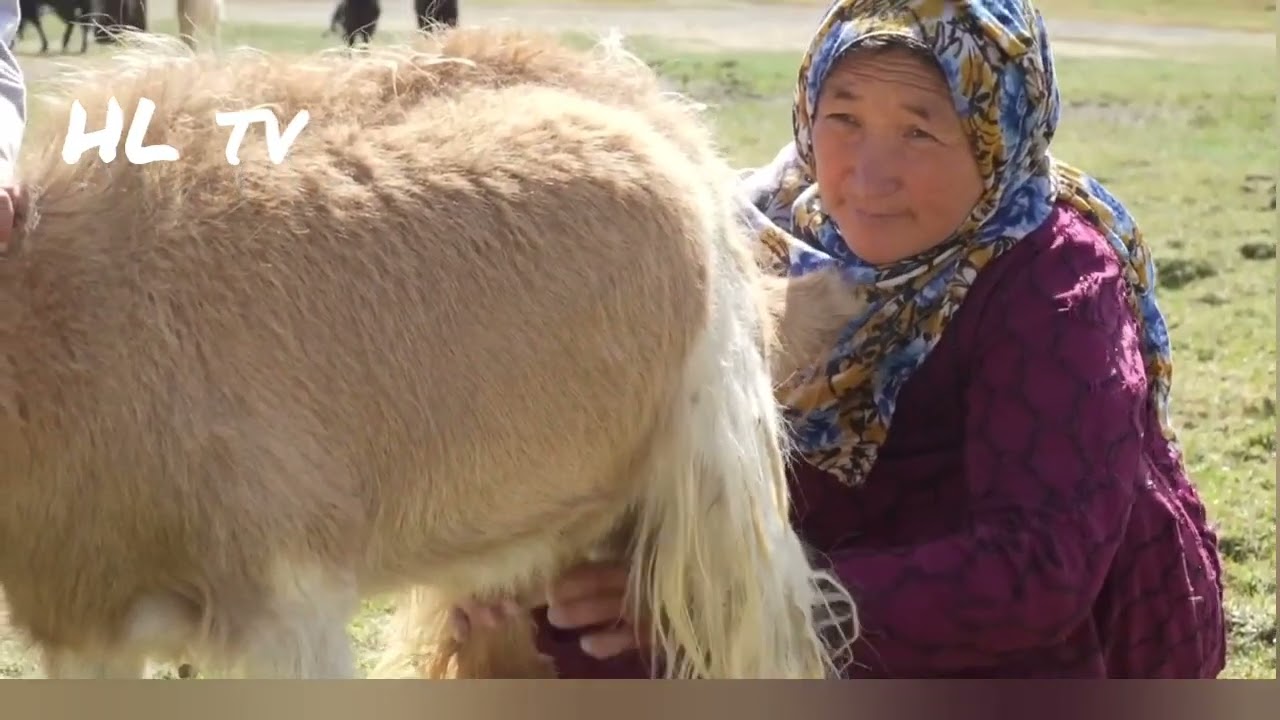Dorfleben in Afghanistan