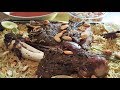 #Quick #Mandi #laham (#مندي #لحم #السريع## )