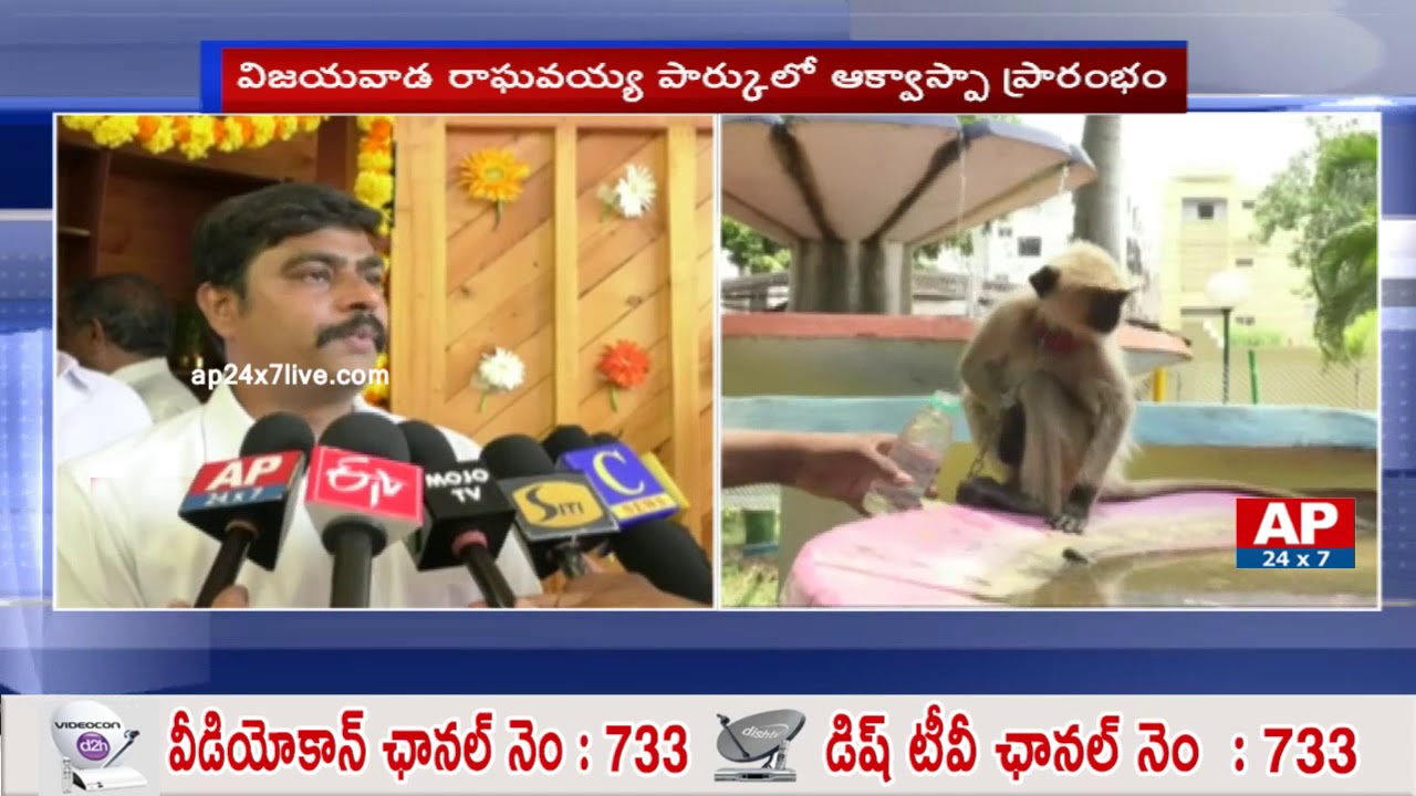 MLA Bonda Uma Starts Aqua Spa In Raghavaiah Park | Vijayawada | AP24x7