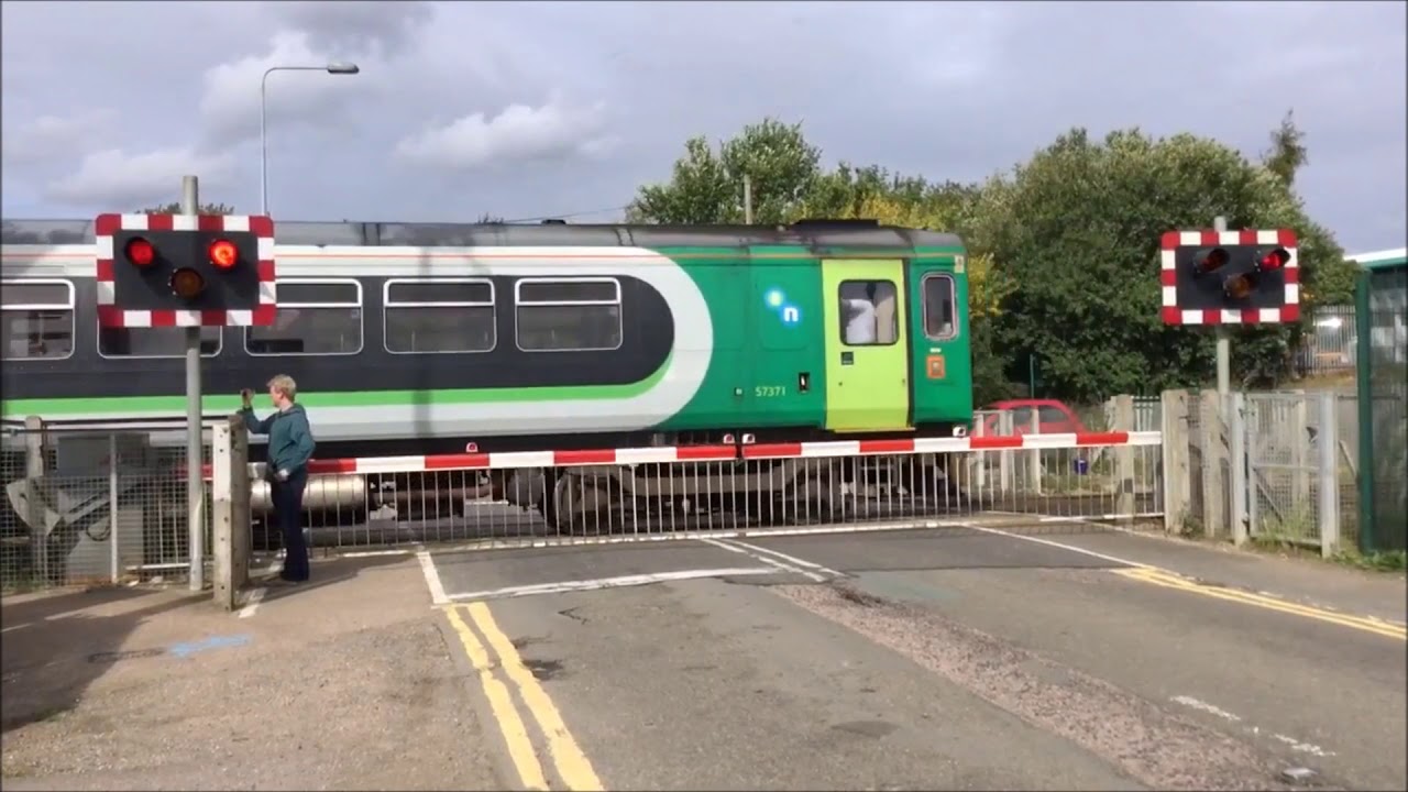 Halogen Level Crossings