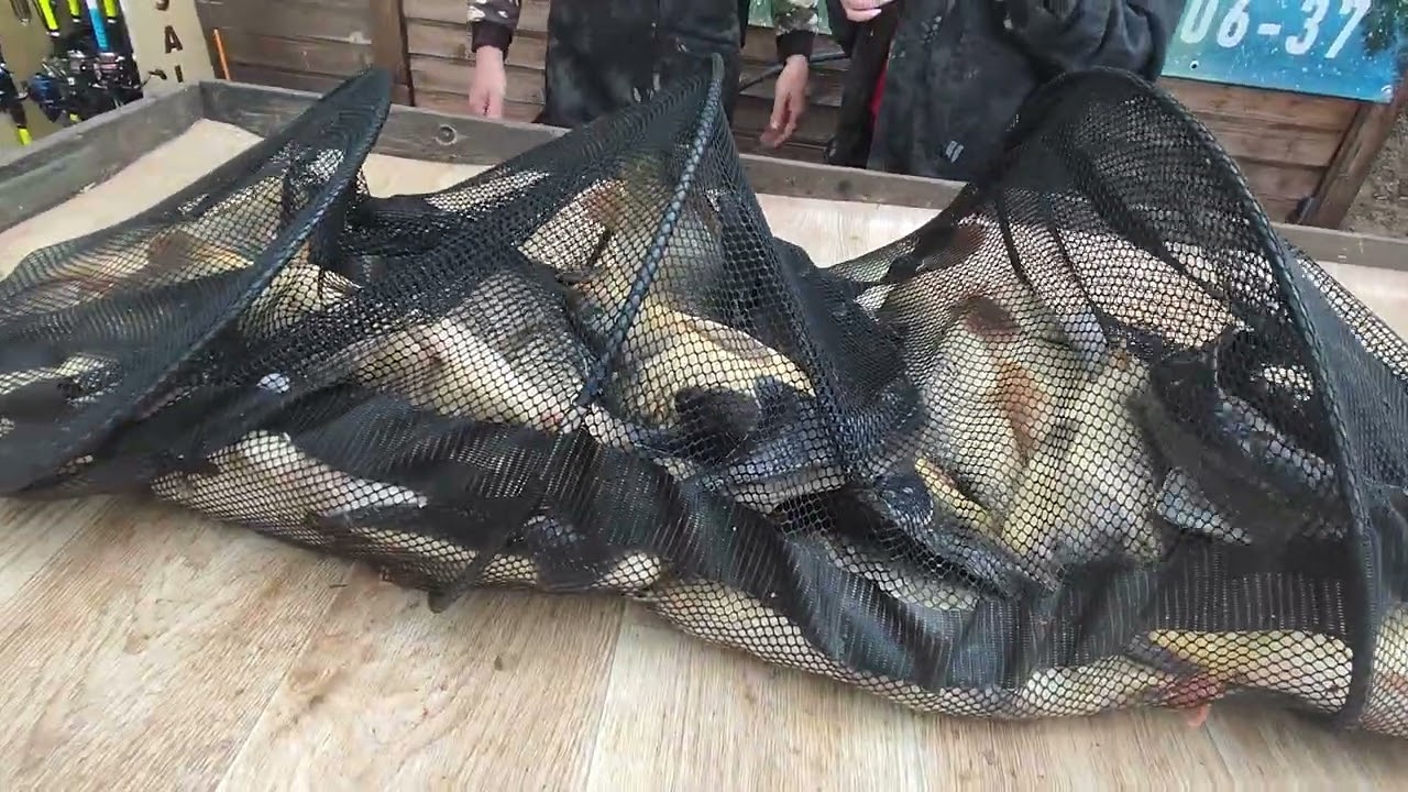 Красногорск - YouTube