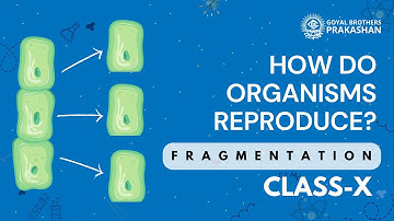 Fragmentation | Class 10 | Science | NCERT | Goyal Brothers Prakashan