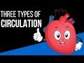 Three types of circulation in the body