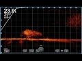 Using the Garmin Livescope and Cast Net