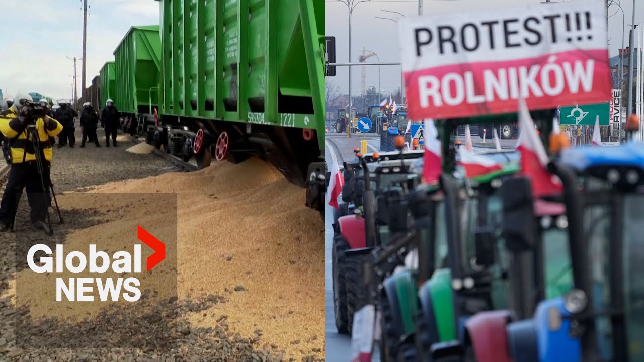 Polish farmers dump Ukrainian grain, stage border blockade - YouTube