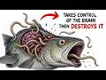 Explained The Most Terrifying Ocean Parasites That Eat Their Host Alive