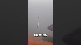 Live Minnow gets KILLED #icefishing