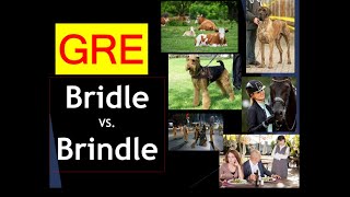 Bridle Meaning | Brindle Meaning | confusing GRE words with images | gre vocabulary | GRE