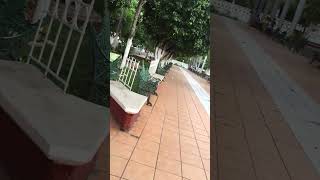 IMG 7589