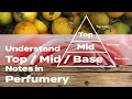 Understanding the fragrance pyramid in perfumery