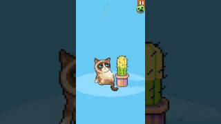 Grumpy cat part 2 I got a new cat¡!