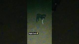 #########dog knig#ht foo..d