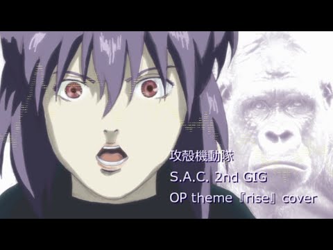 rise ／ 攻殻機動隊 2ndGIG cover