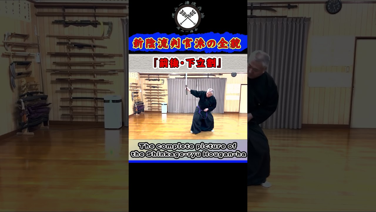 【新陰流判官派の全貌】まさかの背面切り！ ド派手で繊細！！＜立業 四本目＞『前後･下立割』