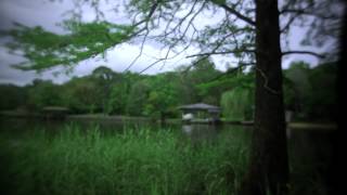 Camera Test: Panasonic AF 100 with 16mm Bolex lens
