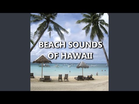Sharp Sandy Ocean Sounds