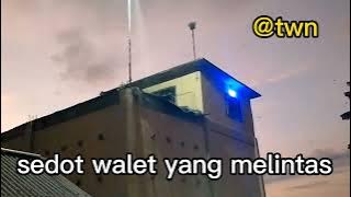 Sedot Walet Melintas (@TWN) #potongjalur#spwalet #spantigalau #sp1m#spantipirus#