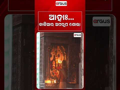 କାଳିଆର ଅପରୂପ ଶୋଭା | Puri Rain | Devotees Drench in Devotion at Shree Jagannath Temple | Argus News