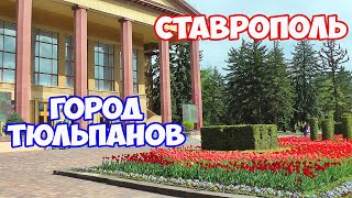 Ставрополь - самый красивый и зеленый город. Прогулка по центру Ставрополя весной