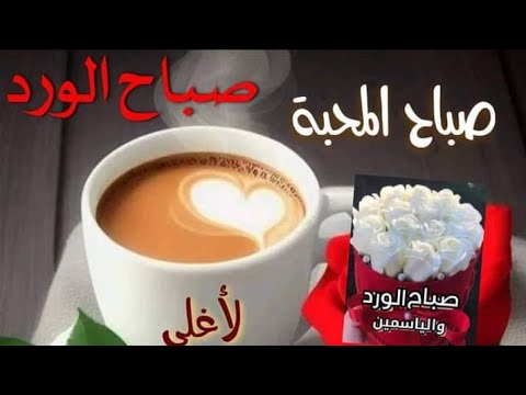 صباح الخير صباح الورد والياسمين صباح الفل
