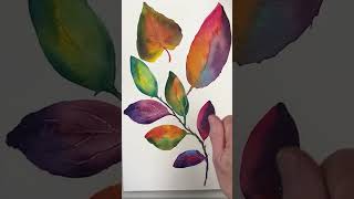 Give yourself a watercolor gold star! Beginners start here!