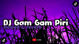 DJ Gam Gam Piri - ( Slowed & Reverb )