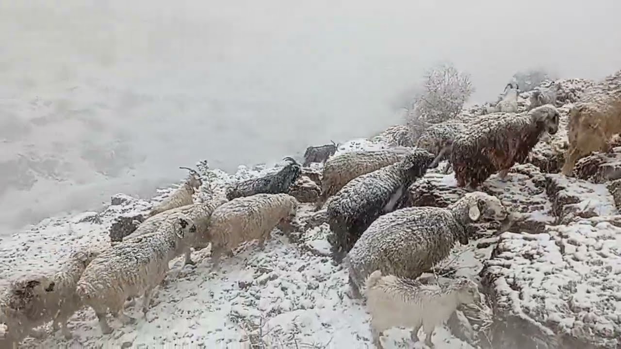 One Wrong Step Here Could Kill Us | Frozen Mountain Gorge