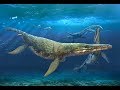How Plesiosaurs Swam