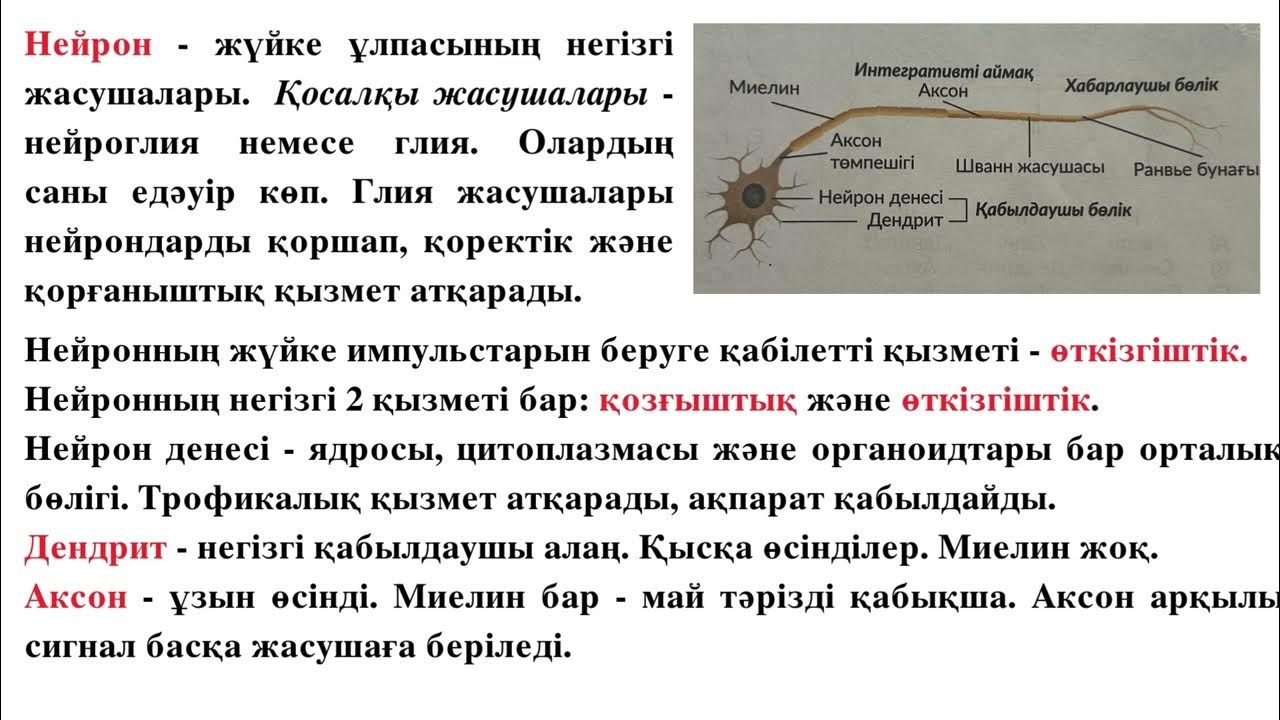 Жалаңаш Холли Мари Ақша үшін нағыз көше порносы