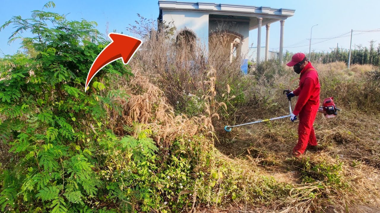 22 Minutes of SATISFYING Transformation — an ABANDONED House MIRACULOUSLY Revived