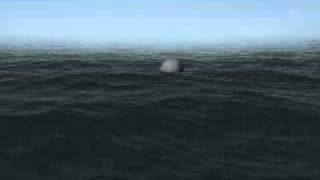Maya Ocean Test