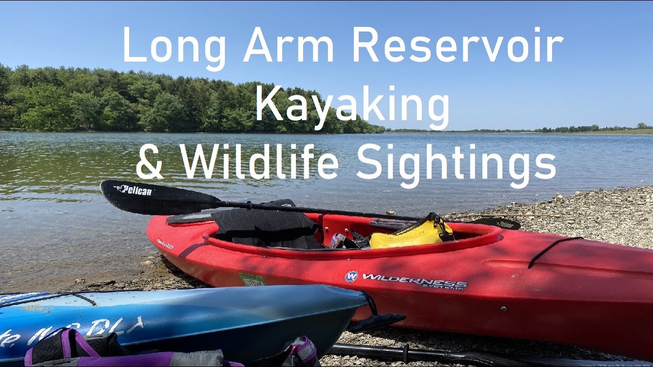 Long Arm Reservoir Kayaking & Wildlife Sightings YouTube