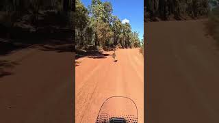 Hoping For A Race Guess Not