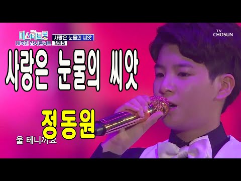 사랑은 눈물의 씨앗 / 미스터트롯 정동원 / 미스터트롯 대국민감사콘서트 200821