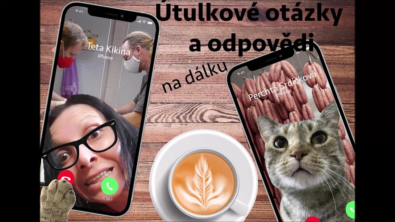 Kolik záchodů mají kočičky v útulku k dispozici?