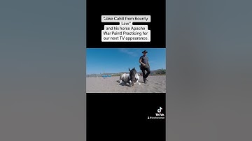 Horse laying down with gunfire