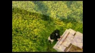 Vals de primavera ( 봄의 왈츠) - Hermoso Secreto (아름다운 비밀). Sub Español & Coreano
