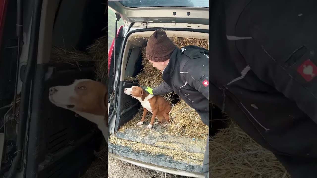 RANCHLIFE ❤️‍🩹 