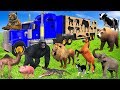 Wild animals on wooden transporter truck toys for kids  learn animals names  sounds