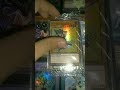 Yu-Gi-Oh! TCG - Alguns Cards LOST ART (LART) #cardgame #yugiohcardgame #yugiohcommunity